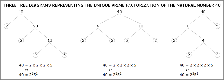 tree-diagram